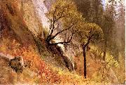 Albert Bierstadt Landscape Study, Yosemite California Germany oil painting artist